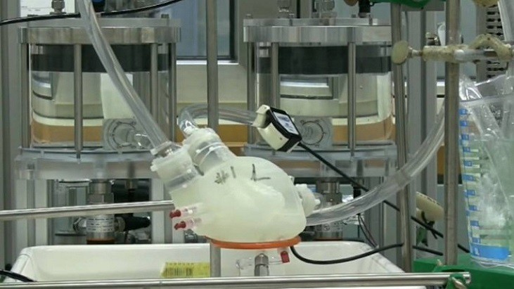 DNA HOSPITALAR - Cientistas criam coração de silicone que bate como o humano