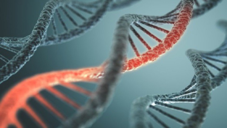 DNA HOSPITALAR - Novo teste genético promete maior precisão no diagnóstico do câncer de mama